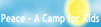 Art of Peace Camp