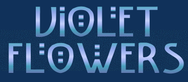 Violet Flowers
